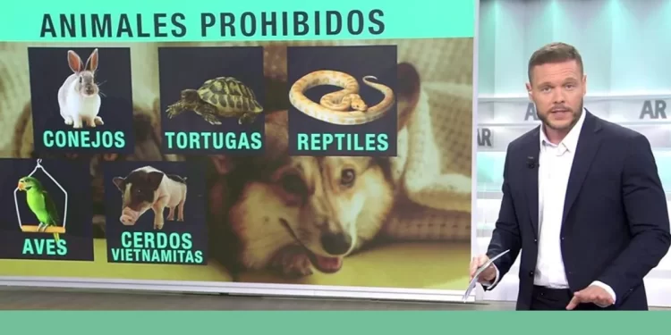 La viral respuesta de un ganadero al Gobierno por la nueva Ley de Bienestar Animal