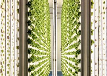 En Maceda: Agricultura y renovables: una combinación ganadora