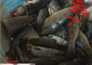 VIII Festa da Troita en Maceda, sabado 24 de xuño