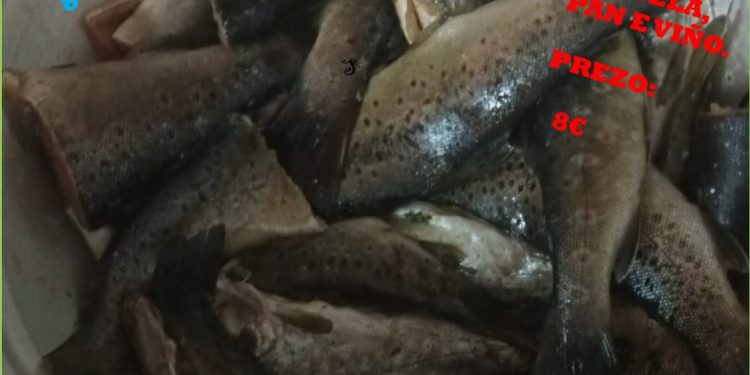 VIII Festa da Troita en Maceda, sabado 24 de xuño