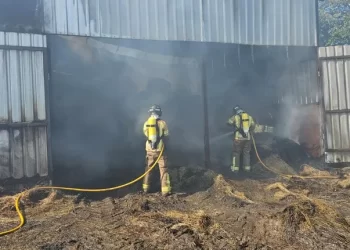 Las llamas se ceban con una explotación ganadera de Maceda y matan a tres reses