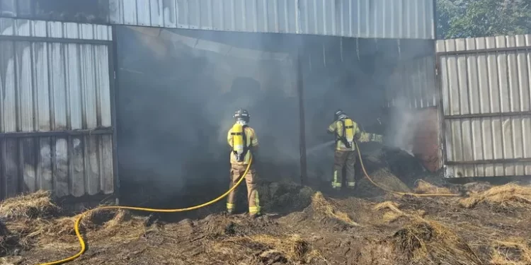 Las llamas se ceban con una explotación ganadera de Maceda y matan a tres reses