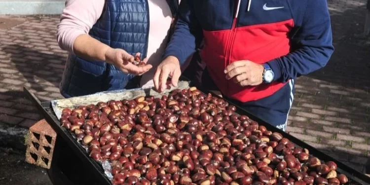 Celebraciones de magosto en Ourense para el fin de semana