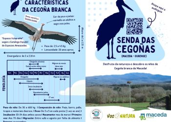 MACEDA XA CONTA CUNHA SENDA DAS CEGOÑAS