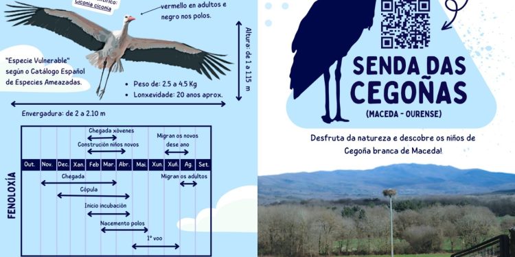 MACEDA XA CONTA CUNHA SENDA DAS CEGOÑAS