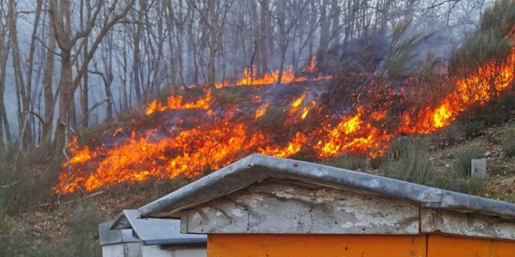 Una parroquia de Maceda entre las 28 de Ourense para este verano en «alto riesgo de incendio»