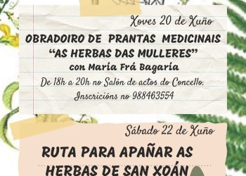 Herbas de San Xoan, Obradoiro de prantas mediciñais